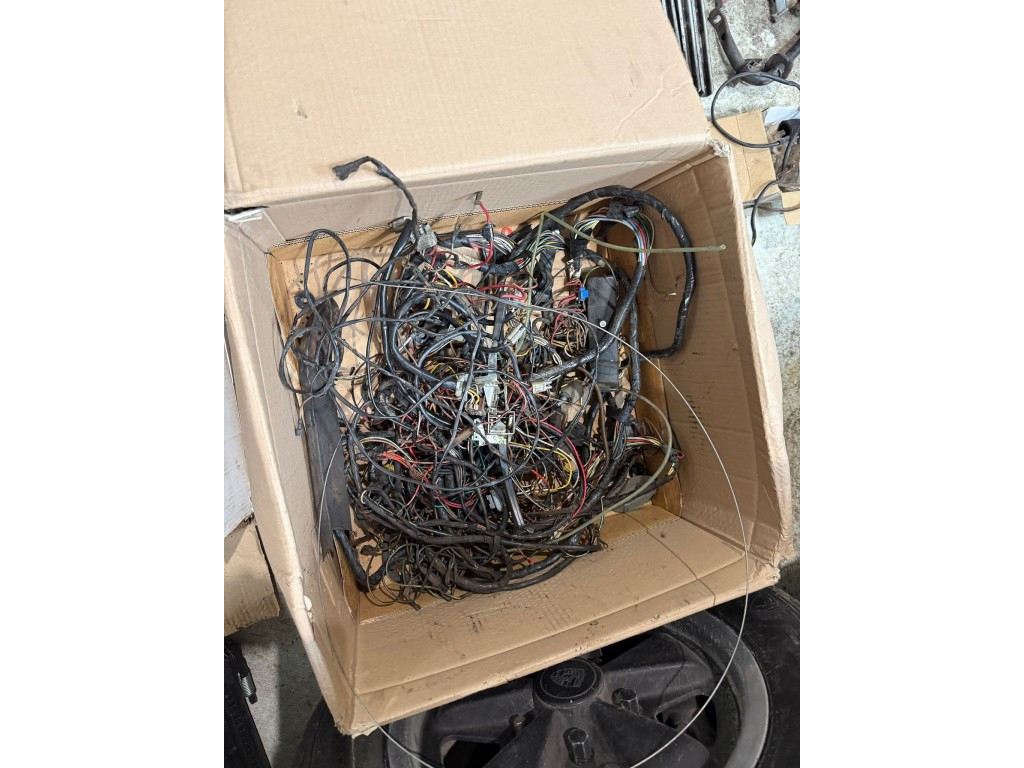 48089911-41.jpg